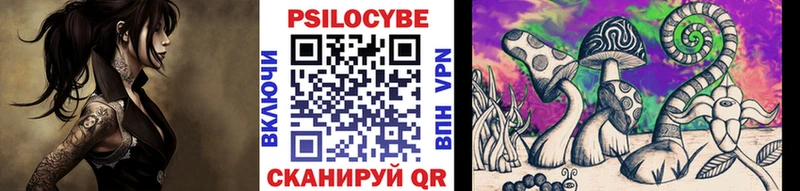Галлюциногенные грибы Psilocybine cubensis купить закладку Северо-Курильск